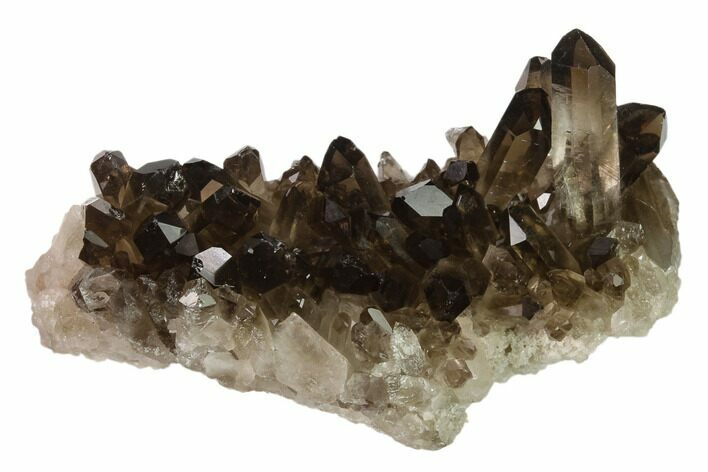Dark Smoky Quartz Crystal Cluster - Brazil #134941